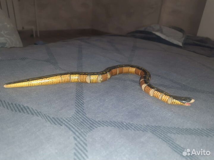 Деревянная змея гибкая СССР 1960-1970-ые года