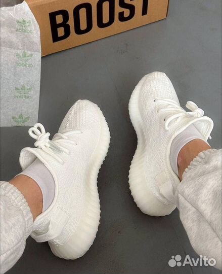 Кроссовки Adidas Yeezy Boost 350