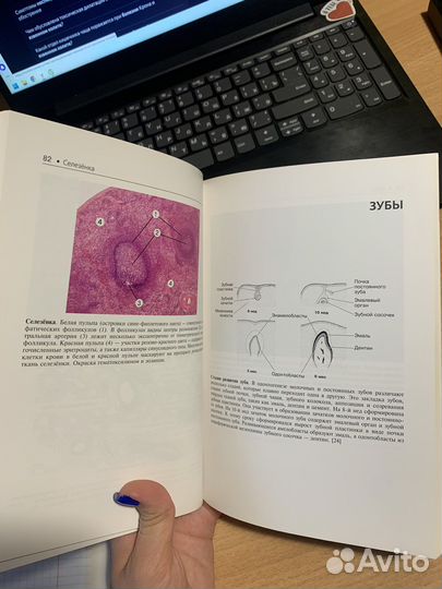Гистология Атлас, новый, Бойчук, Исламов