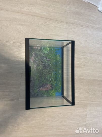 Аквариум с крышкой