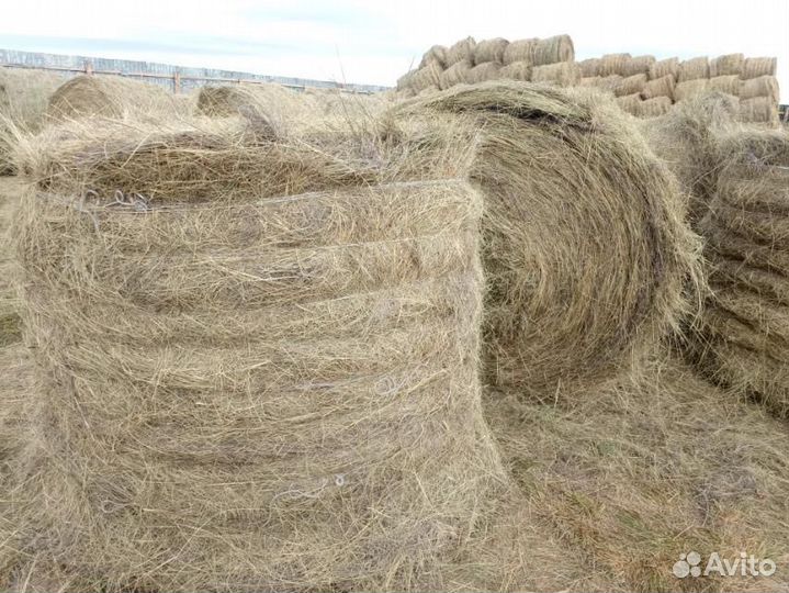Сено в рулонах