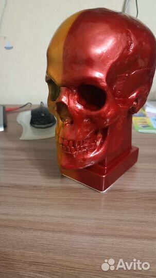 Череп из гипса