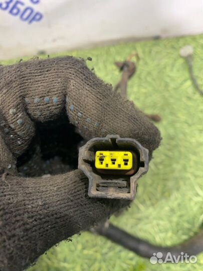 Проводка двигателя Ford Mondeo 3 седан 2.0 cjba