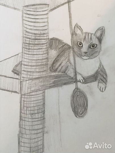 Рисую ваших питомцев