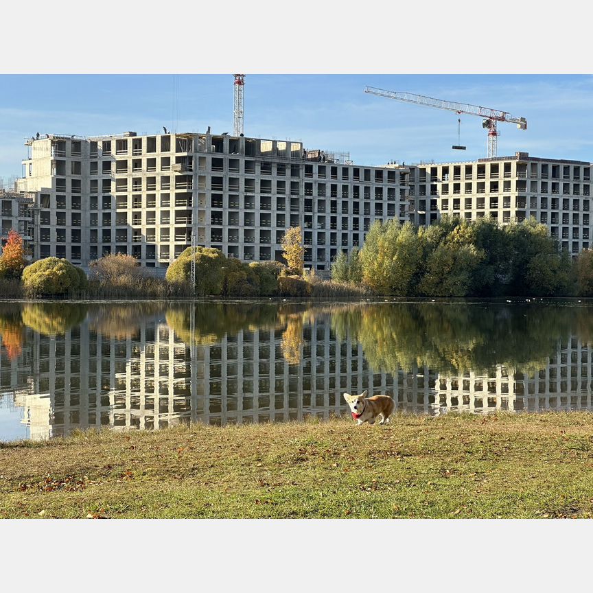 1-к. апартаменты, 41,8 м², 3/8 эт.