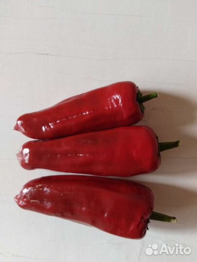 Семена острого перца