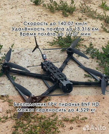 Дрон fpv Пиpaнья 10 дюймов