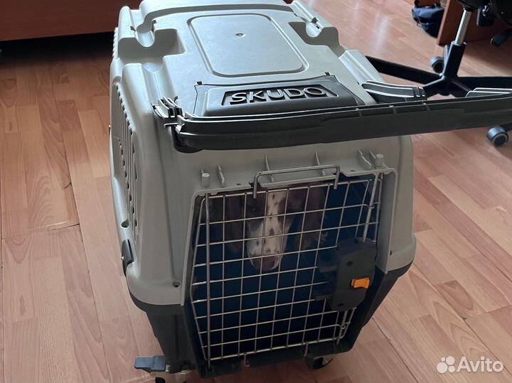 Переноска MPS Skudo 4