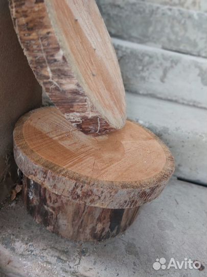 Спилы дерева для декора кедр и ангарская сосна