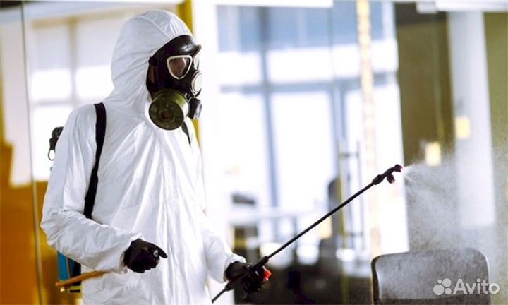 Дезинсекция дератизация