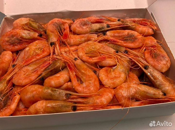 Креветка северная. Свежезамороженные