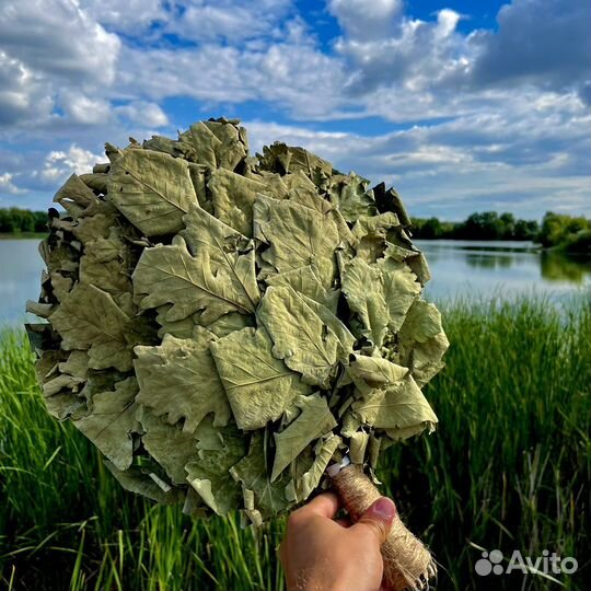 Кавказкие дубовые веники для бани