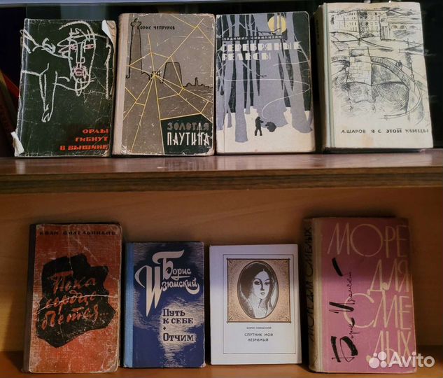 Книги: редкие и нечастые. СССР и Россия - 1