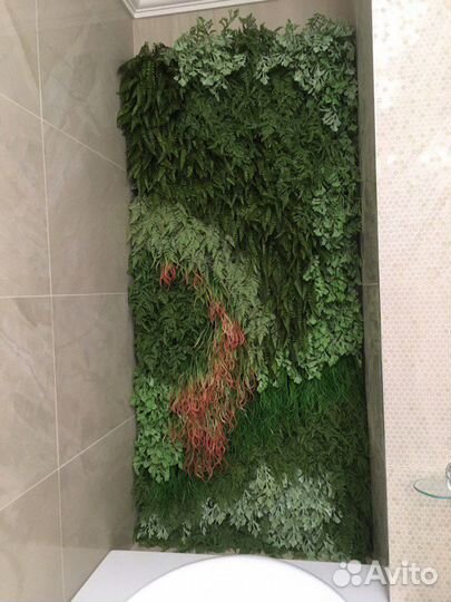 Вертикальное озеленение (