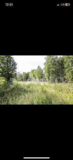 Участок 40 сот. (СНТ, ДНП)