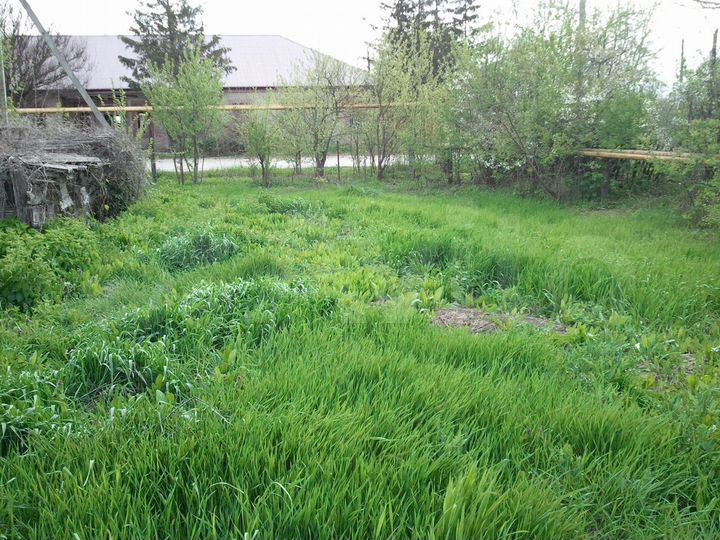 Участок 17 сот. (ИЖС)