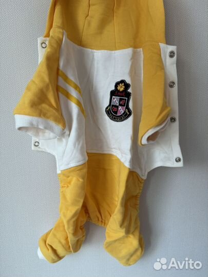 Костюм для собаки