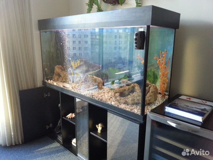 Обслуживание аквариумных комплексов