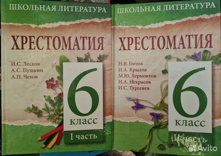 Учебник, хрестоматии по литературе 6,7,8,9,10 кл