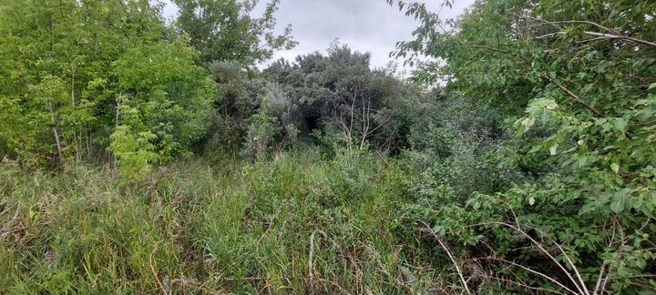 Участок 12,3 сот. (ИЖС)