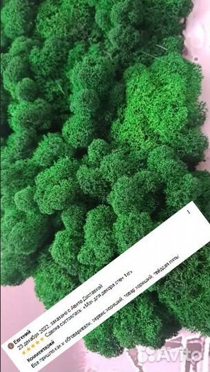 Стабилизированный мох от производителя оптом ягель