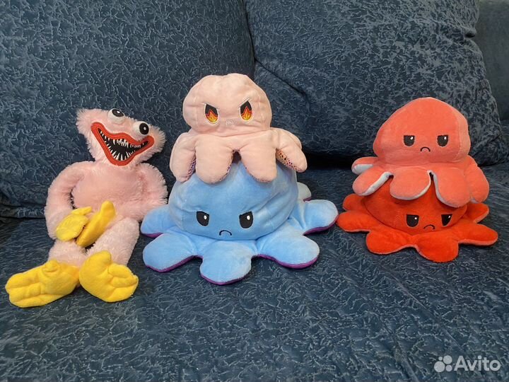 Хаги ваги, медузы двухсторонние