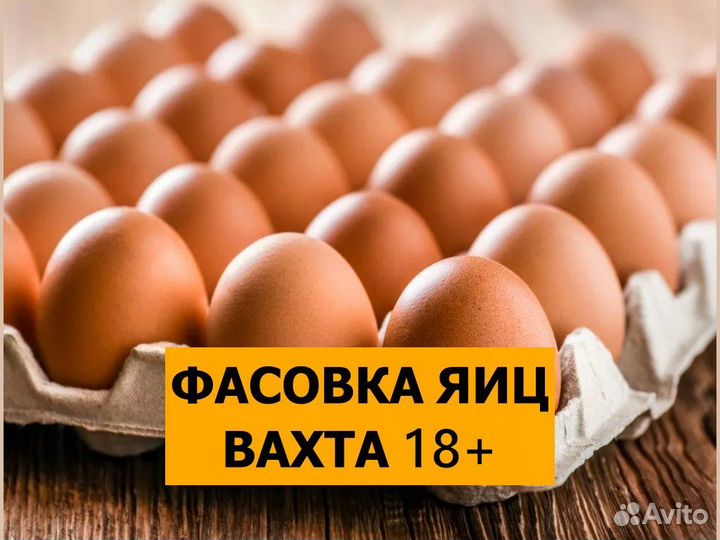 Фасовщик яиц вахта Выселки 18+
