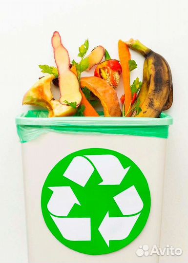 Пищевые отходы