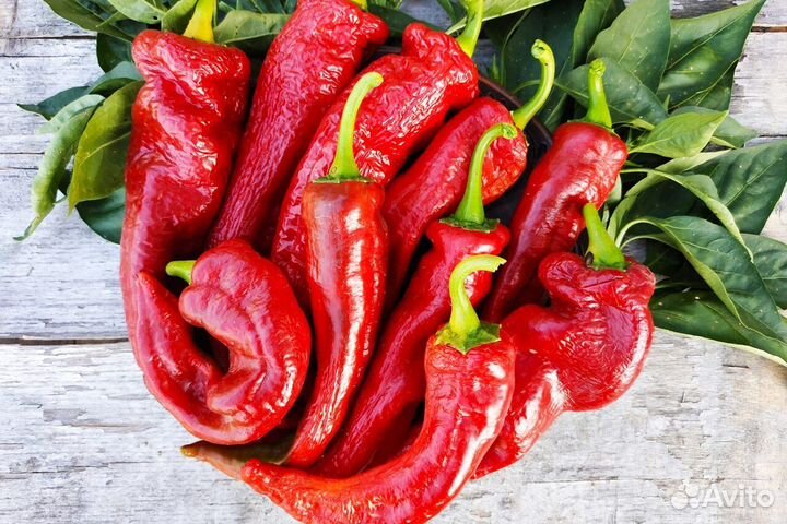 Перец сладкий Афродита Лонг (семена)