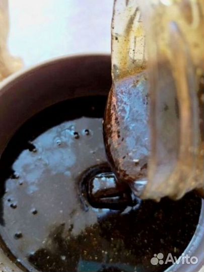 Мед волшебный для него