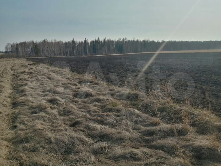 Участок 70 сот. (СНТ, ДНП)