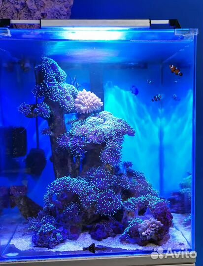 LED светильник 15 Вт для аквариума море/пресноводн