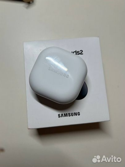 Samsung galaxy buds 2