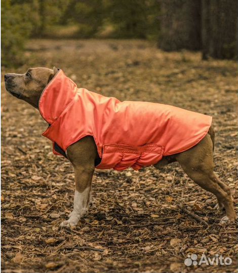 Куртка комбинезон для собак