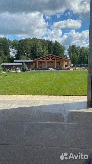 Продажа рулонного газона