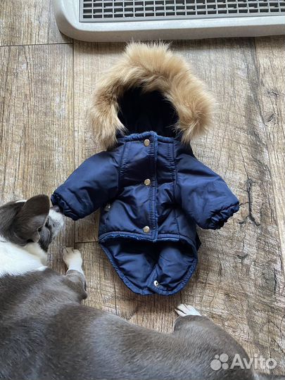 Лоток туалет для собак