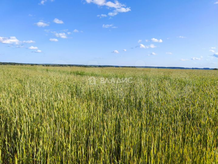 Продам помещение свободного назначения, 100 м²