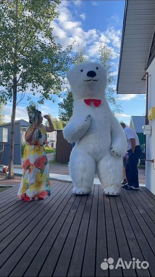 Поздравление от 3м белого Мишки (живая открытка)