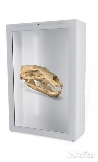 3D - витрина с искусственным интеллектом