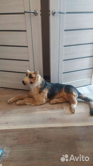 Классическая гитара