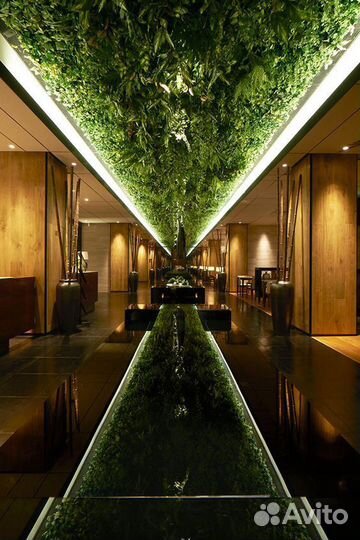 Вертикальное озеленение (