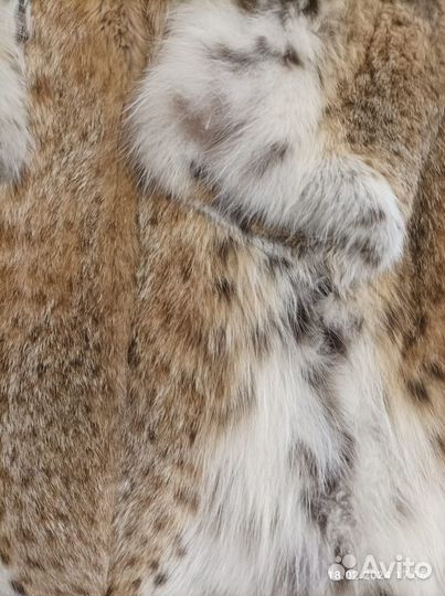 Шуба из меха рыси