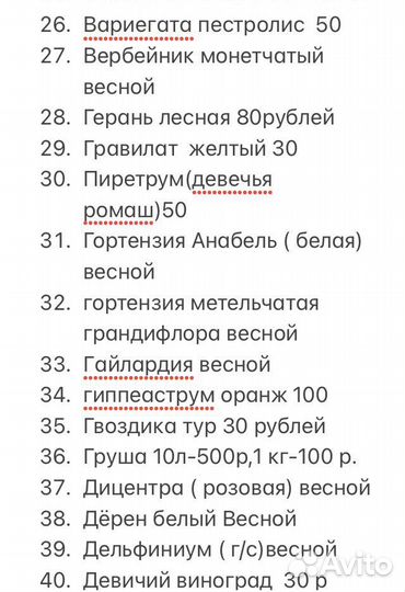 Многолетние садовые цветы, кустарники, растения