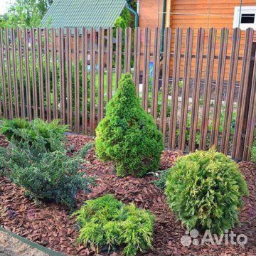 Кора лиственницы в Раменском доставка и самовывоз