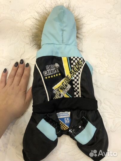 Одежда для собак