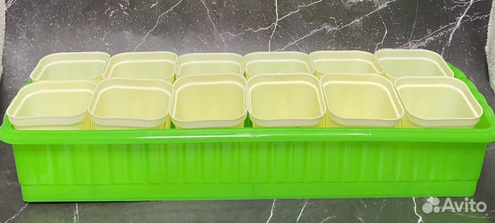 Горшочки, стаканчики для рассады с ящиком