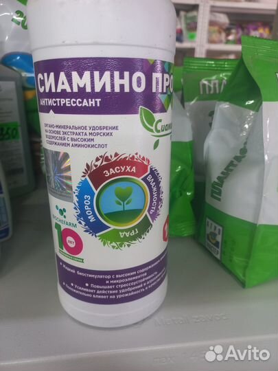 Сиамино про