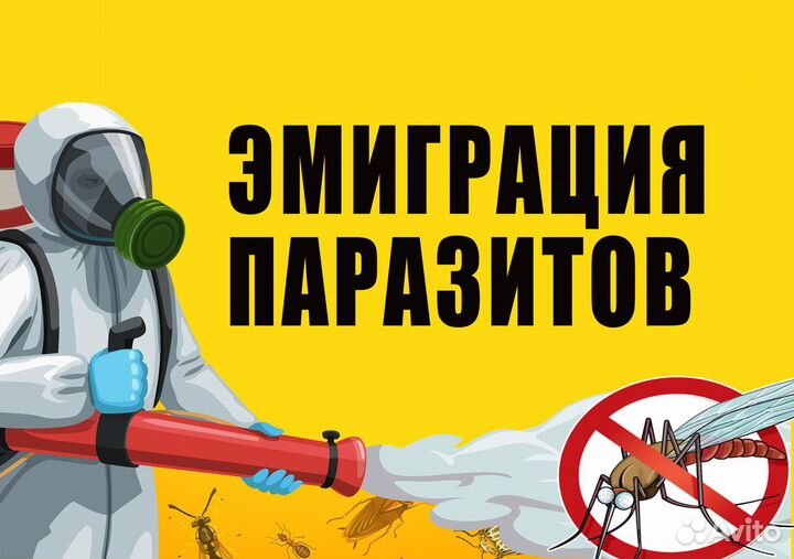 Устранение запахов (дезодорация), трупного запаха