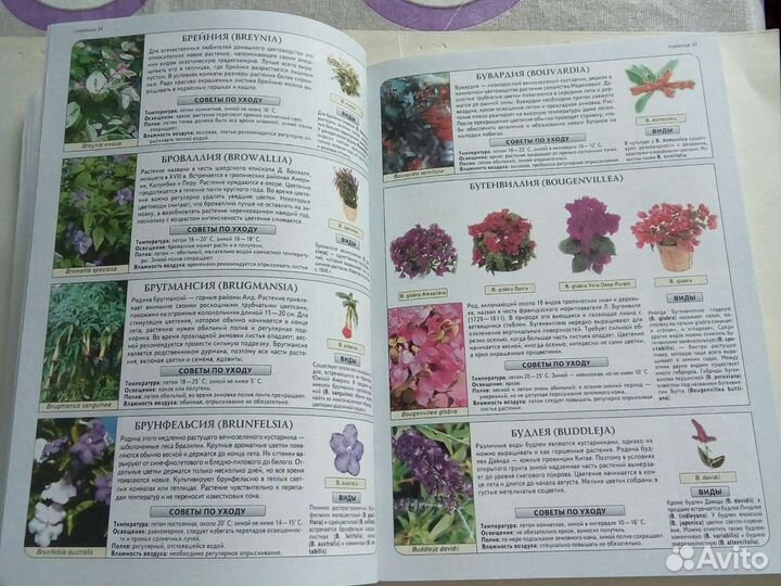Книга о комнатных растениях