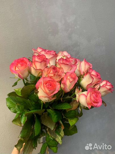 Живые цветы букеты